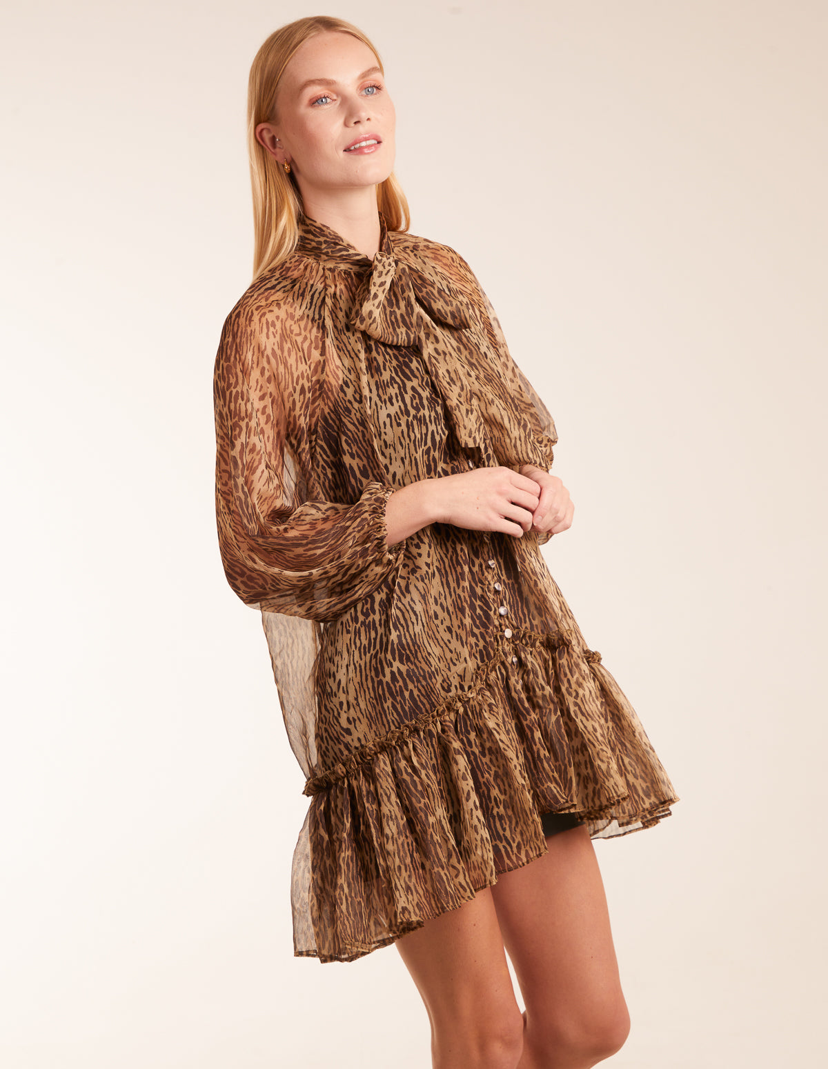 bv2959-brown66313.jpg
