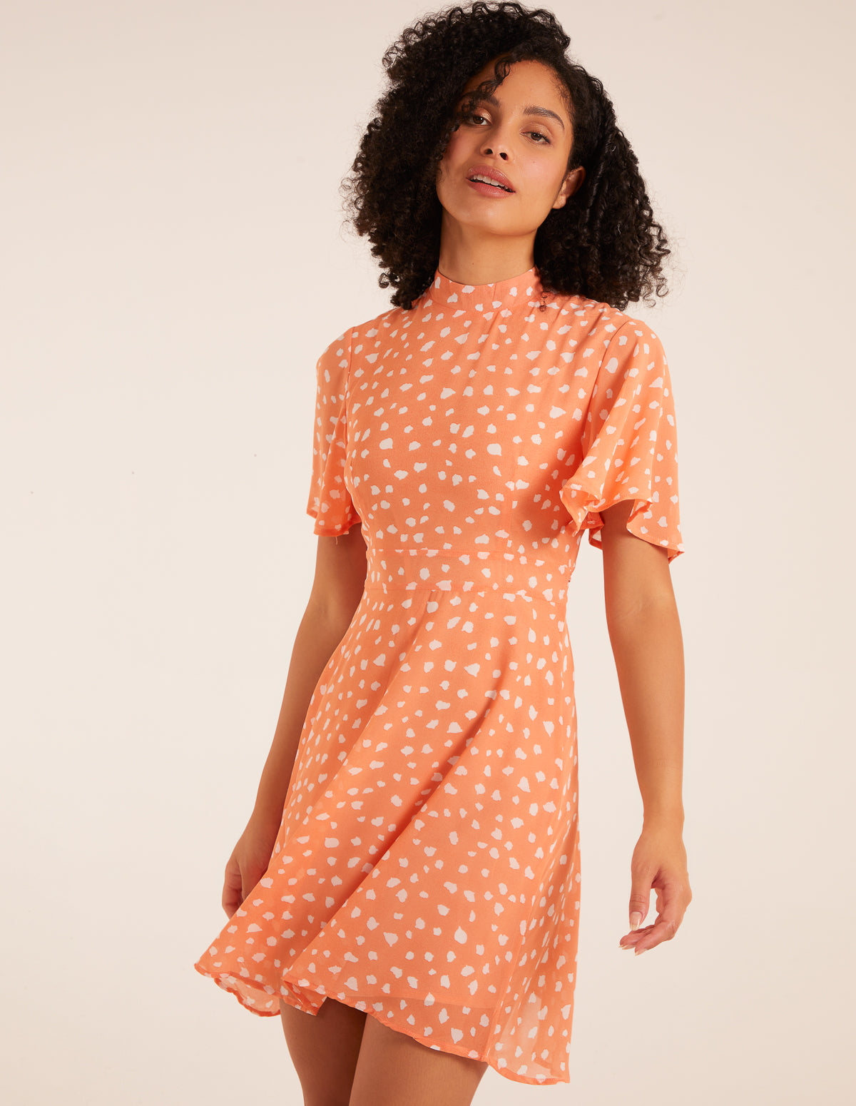 nl8844-coral6587.jpg